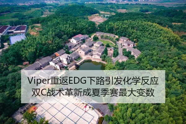 Viper重返EDG下路引发化学反应 双C战术革新成夏季赛最大变数