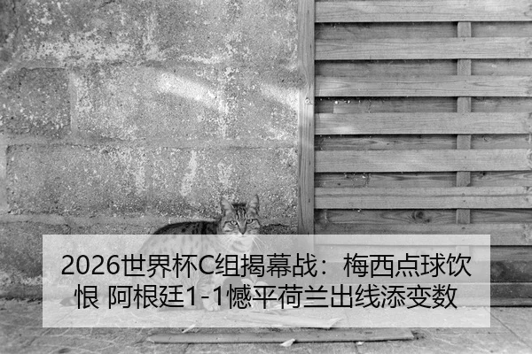 2026世界杯C组揭幕战：梅西点球饮恨 阿根廷1-1憾平荷兰出线添变数