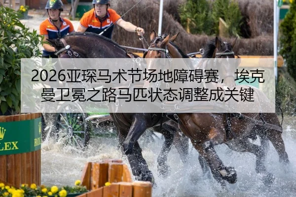 ya-chen-ma-shu-jie-chang-di-zhang-ai-sai-ai-ke-man-wei-mian-zhi-lu-ma-pi-zhuang-tai-tiao-zheng-cheng-guan-jian-2-100.jpg